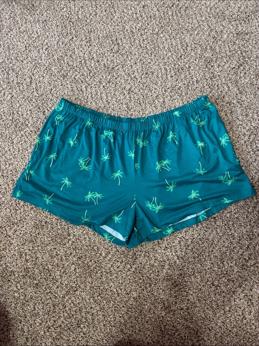 ❤️ 2/$10 - NWOT Teal Palm Tree Swim/Beach Shorts